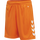 ORANGE TIGER