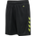 BLACK/LIME POPSICLE