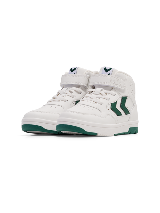 CAMDEN HIGH JR, GARDEN TOPIARY, packshot