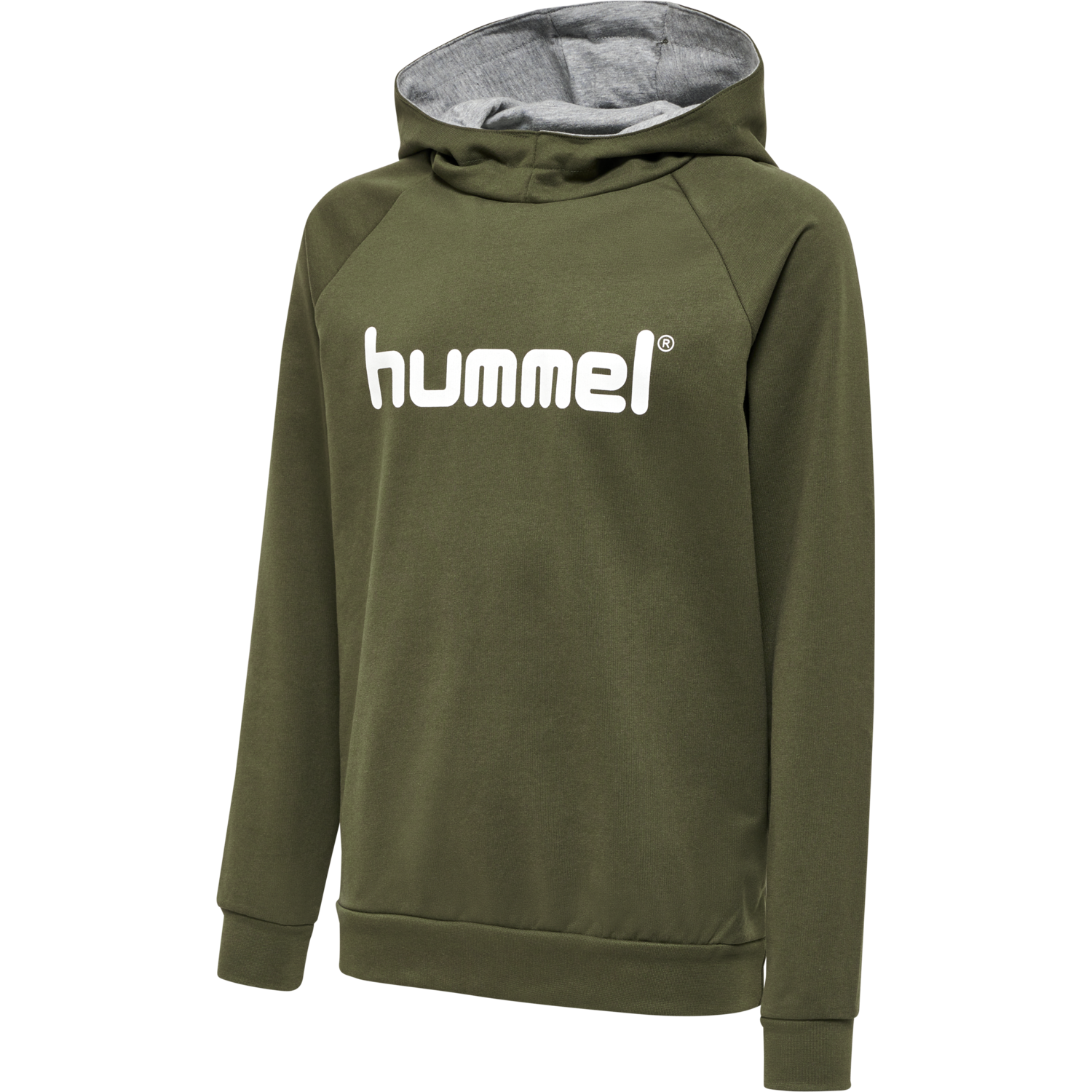 HUMMEL GO KIDS COTTON LOGO HOODIE, GRAPE LEAF, packshot