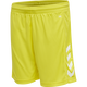 BLAZING YELLOW