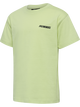 SHADOW LIME