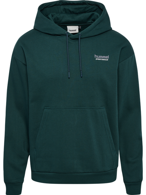 hmlLOOSE HOODIE SPORTSWEAR, PONDEROSA PINE, packshot