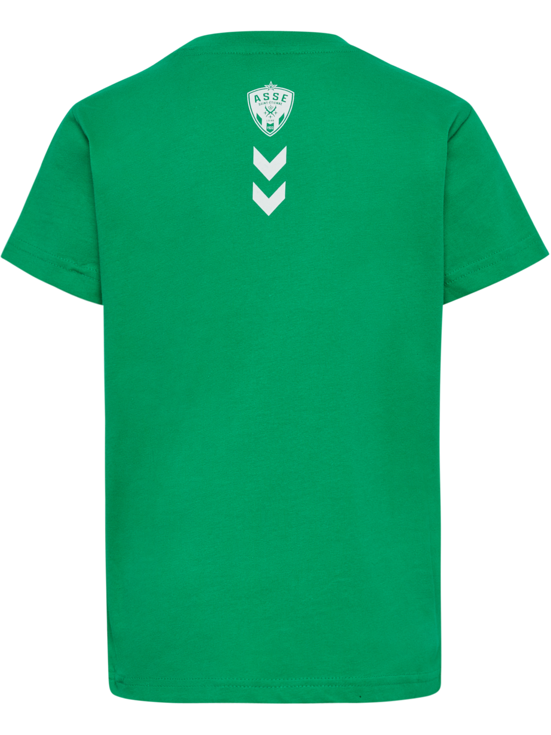 ASSE 22/23 FAN GREEN T-SHIRT S/S KI, JELLY BEAN, packshot