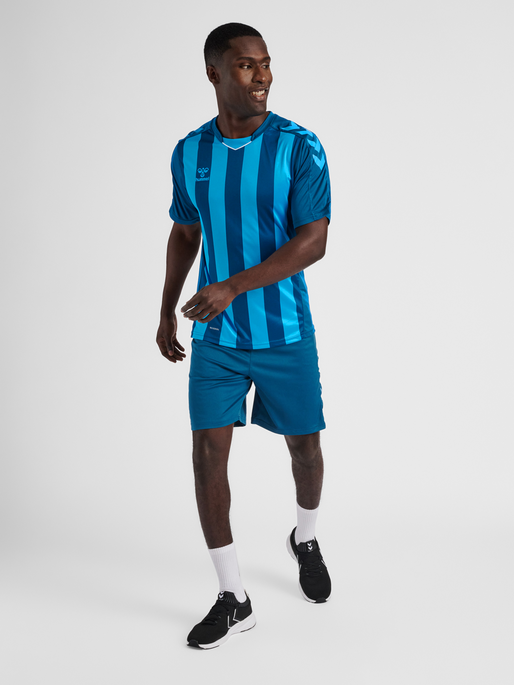 hmlCORE XK STRIPED JERSEY S/S, BLUE CORAL, model
