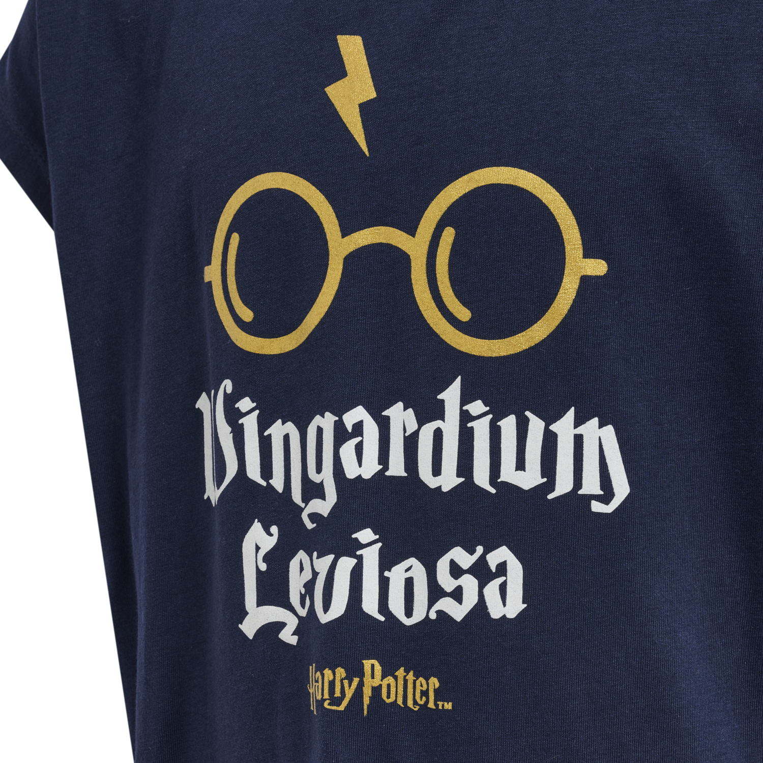 hmlHARRY POTTER DIEZ T-SHIRT S/S, BLACK IRIS, packshot