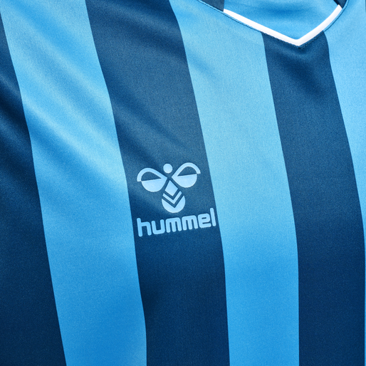 hmlCORE XK STRIPED JERSEY S/S, BLUE CORAL/BLUE DANUBE, packshot