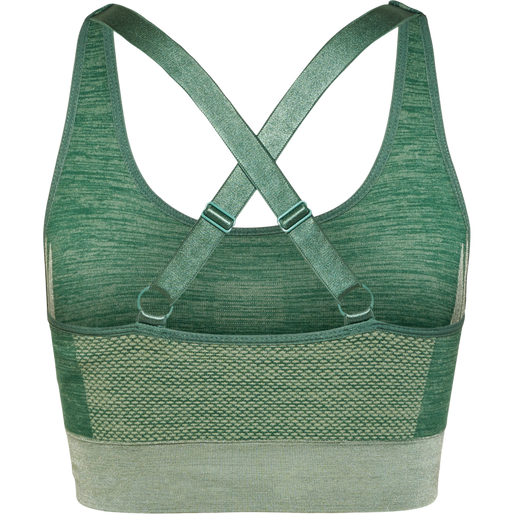 hmlCLEA SEAMLESS  SPORTS TOP, LAUREL WREATH/LILY PAD MELANGE, packshot