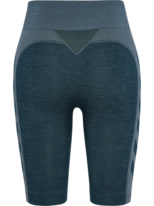 hmlCLEA SEAMLESS CYCLING SHORTS, DARK SEA, packshot