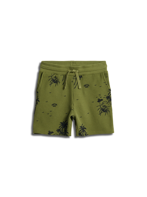 stsBAHAMAS SHORTS, MAYFLY, packshot